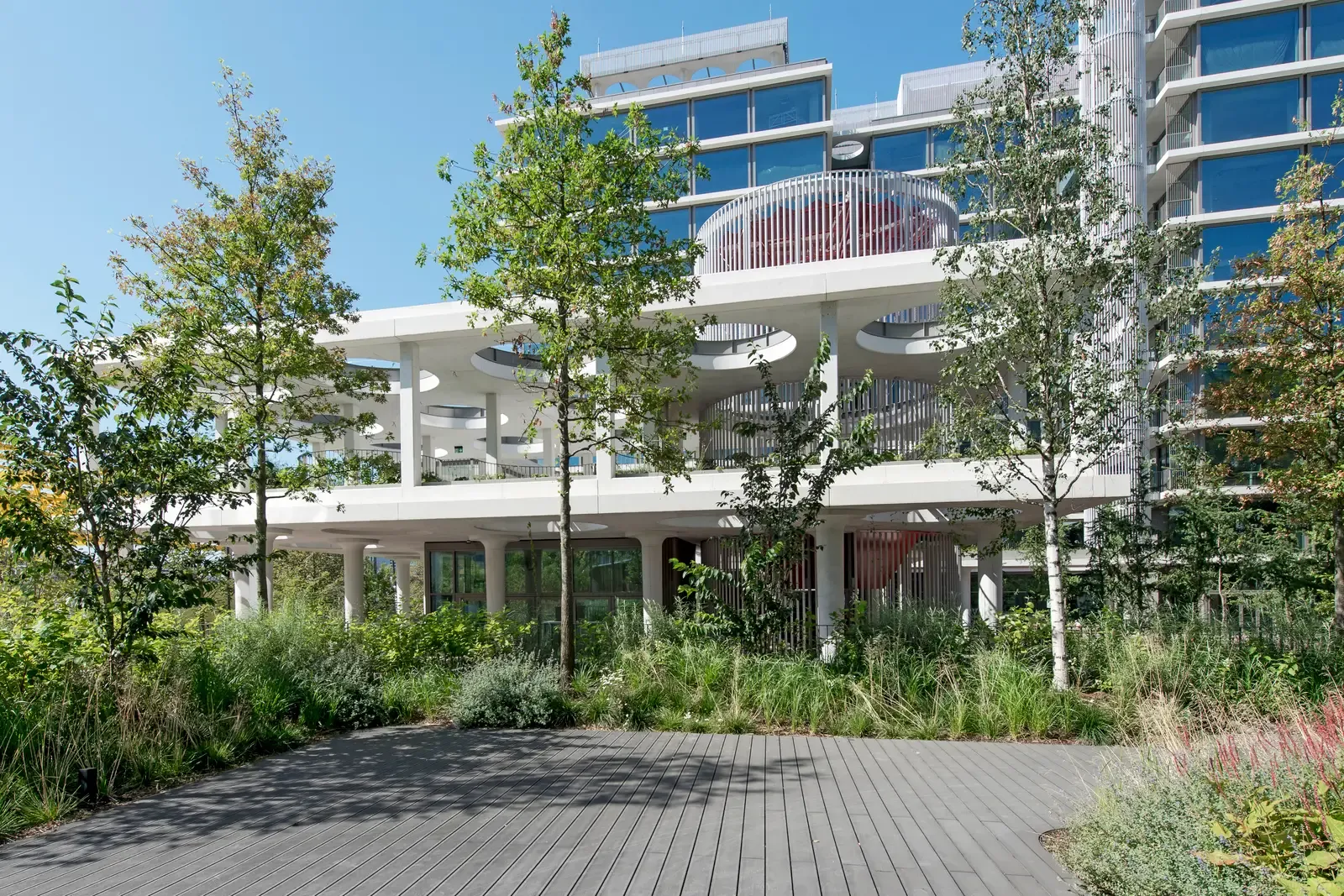 Garden with trees and a wildflower meadow by the building's low wing